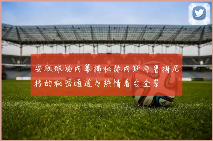 安联球场内幕揭秘赫内斯与鲁梅尼格的秘密通道与热情看台全景